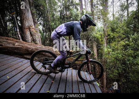 Maydena, Tasmanien, Australien. Februar 2024. MAYDENA, AUSTRALIEN - 23. FEBRUAR: Fahrer während des Aussaatens in Red Bull Hardline Tasmania am 23. Februar 2024 in Maydena, Australien. (Kreditbild: © Chris Putnam/ZUMA Press Wire) NUR REDAKTIONELLE VERWENDUNG! Nicht für kommerzielle ZWECKE! Stockfoto