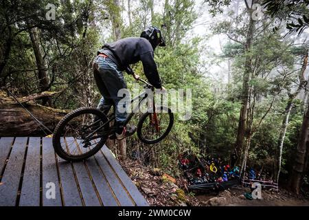 Maydena, Tasmanien, Australien. Februar 2024. MAYDENA, AUSTRALIEN - 23. FEBRUAR: Fahrer während des Aussaatens in Red Bull Hardline Tasmania am 23. Februar 2024 in Maydena, Australien. (Kreditbild: © Chris Putnam/ZUMA Press Wire) NUR REDAKTIONELLE VERWENDUNG! Nicht für kommerzielle ZWECKE! Stockfoto