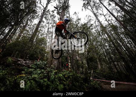 Maydena, Tasmanien, Australien. Februar 2024. MAYDENA, AUSTRALIEN - 23. FEBRUAR: Fahrer während des Aussaatens in Red Bull Hardline Tasmania am 23. Februar 2024 in Maydena, Australien. (Kreditbild: © Chris Putnam/ZUMA Press Wire) NUR REDAKTIONELLE VERWENDUNG! Nicht für kommerzielle ZWECKE! Stockfoto