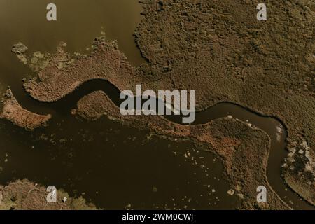 Flussstruktur in den Fluss Pivdennyi Buh von oben gesehen. Foto der Drohnenantenne von oben nach unten. Flusslandschaft und Landrelief. Blick von oben Stockfoto