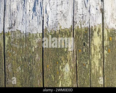 Mehrere zweifarbige, alte und verrottete Holzbretter als Hintergrund Stockfoto