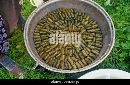 Vrancea County, Rumänien, ca. 1999. Einheimische Frauen bereiten Traubenblätter in einem großen Kessel für eine Veranstaltung vor. Stockfoto