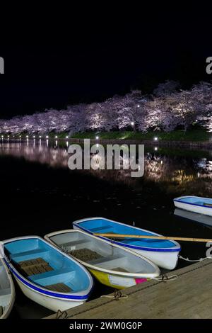 Hölzerne Ruderboote und bunte Kirschblüten im Hirosaki Park bei Nacht Stockfoto