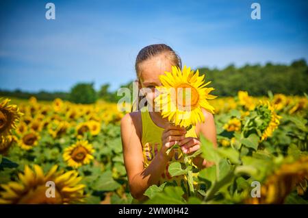 Verspieltes Mädchen, das Gesicht hinter Sonnenblumen auf dem Feld versteckt Stockfoto