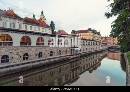 Slowenien, Ljubljana, zentraler Markt, der sich bei Sonnenaufgang im Fluss Ljubljanica spiegelt Stockfoto