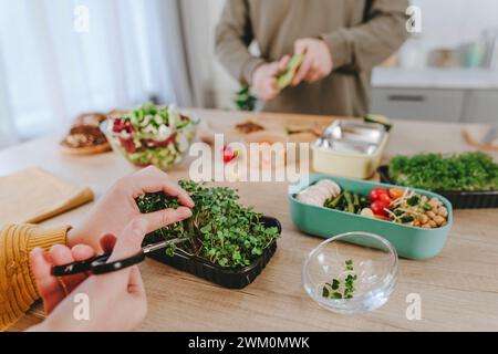 Junge Frau, die mikrogrün mit einer Schere für Lunchboxen schneidet Stockfoto