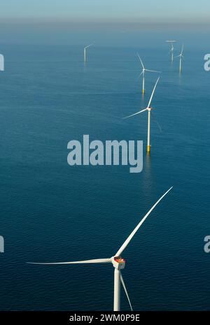 Niederlande, Nordholland, IJmuiden, Luftaufnahme des neu errichteten Offshore-Windparks in der Nordsee Stockfoto