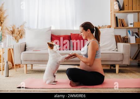 Lächelnde schwangere Frau, die mit Hund spielt, der auf Yogamatte im Wohnzimmer zu Hause sitzt Stockfoto