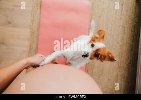 Schwangere Frau, die zu Hause auf dem Teppich aufwächst Stockfoto