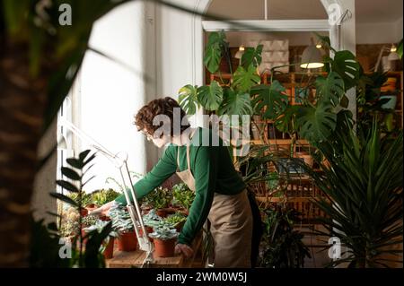 Botaniker, der Schürze trägt und Pflanzen in der Gärtnerei untersucht Stockfoto