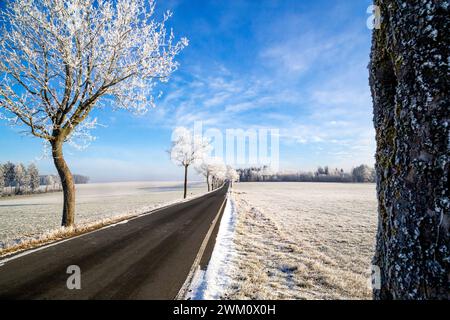 Gerade Landstraße im Winter Stockfoto