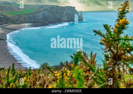 Die Chalk Cliffs bei Etretat entlang der französischen Alabaster Coast Stockfoto