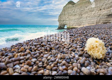 Die Chalk Cliffs bei Etretat entlang der französischen Alabaster Coast Stockfoto