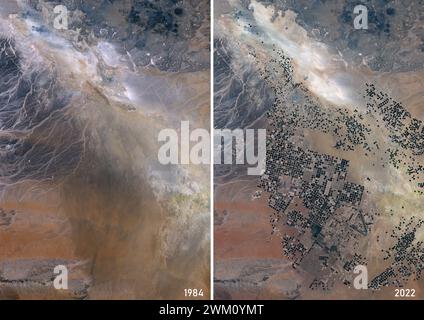 Farb-Satellitenbild des Wadi AS-Sirhan-Beckens in Saudi-Arabien in den Jahren 1984 und 2022, das zeigt, wie sich die landwirtschaftliche Tätigkeit inmitten einer kargen Wüste entwickelt hat. Die Felder werden mit Wasser bewässert, das aus unterirdischen Grundwasserleitern gepumpt wird. Dieses Wasser wird in Rotation um einen Mittelpunkt innerhalb eines kreisförmigen Feldes verteilt – eine Technik, die als Mittelpunkt-Pivot-Landwirtschaft bekannt ist. Stockfoto