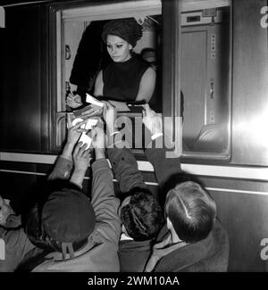 3823858 Sophia Loren; (add.info.: Rom, Bahnhof Termini, um 1965. Italienische Schauspielerin Sophia Loren beim Autogramm von einem Zugfenster / Roma, ca. 1965. L'attrice Sophia Loren mentre Firma autografi dal finestrino di un treno - © Aldo Durazzi / Marcello Mencarini Archives); © Marcello Mencarini. Alle Rechte vorbehalten 2024. Stockfoto