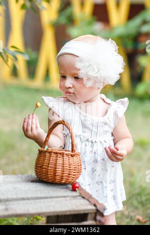 Baby Girl verwöhnt sich mit den süßen, saftigen Kirschen aus dem Obstgarten der Familie. Das Konzept der Förderung der Verbindung mit Lebensmitteln Stockfoto