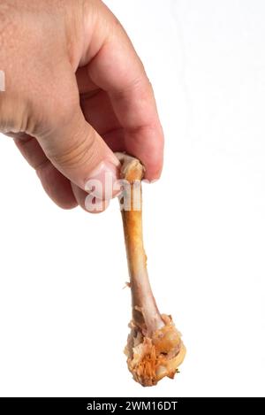 Männliche Hand, die einen abgestreiften Hühnerknochen vor weißem Hintergrund hält Stockfoto