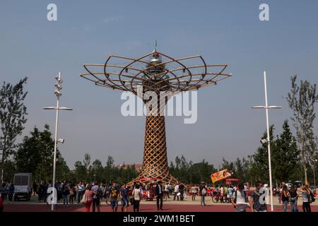 4066599 Milano Expo 2015, Italien; (add.info.: Milan Expo 2015. Der Baum des Lebens, entworfen von Marco Balich als Symbol des Ereignisses. Es handelt sich um eine szenische Maschine aus Holz und Stahl, die während der 6 Monate der Expo/Expo Milano 2015 1,200 Lichtshows bietet. L'Albero della vita progettato da Marco Balich, una struttura in legno e acciaio simbolo dell'evento che durante i 6 mesi dell'Expo produrrà 1200 Show con effetti di luce - © Marcello Mencarini); © Marcello Mencarini. Alle Rechte vorbehalten 2024. Stockfoto