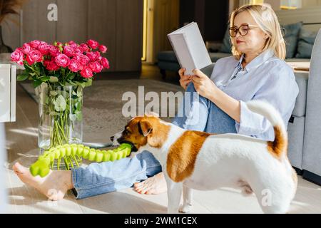 Charmante, reife blonde Frau mittleren Alters sitzt auf dem Wohnzimmerboden und liest ein Buch, ihr Hund, ein Jack Russell Terrier, spielt in der Nähe. Stockfoto
