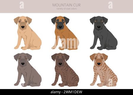 Mountain Cur Hündchen Clipart. Verschiedene Posen, Fellfarben gesetzt. Vektorabbildung Stock Vektor