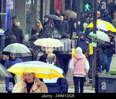 Glasgow, Schottland, Großbritannien. Februar 2024. Wetter in Großbritannien: Bei starkem Regen unterschlugen die Einheimischen unter Regenschirmen auf der stilvollen Mile Sauchiehall Street. Credit Gerard Ferry/Alamy Live News Stockfoto