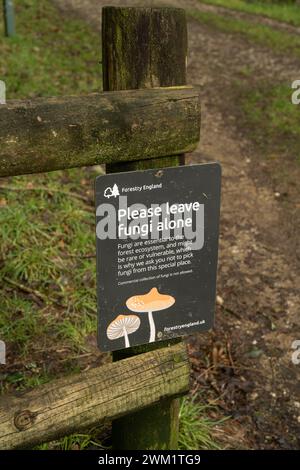 Pilzbemerke. Bitte lassen Sie es in Ruhe. Cardinham Woods, Cornwall, Großbritannien Stockfoto