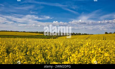 Blick auf ratingen homberg über Rapsfeld im Frühling und wolkenblauem Himmel Stockfoto