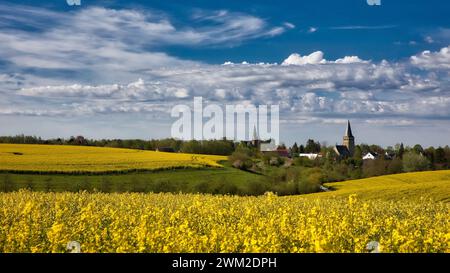 Blick auf ratingen homberg über Rapsfeld im Frühling und wolkenblauem Himmel Stockfoto