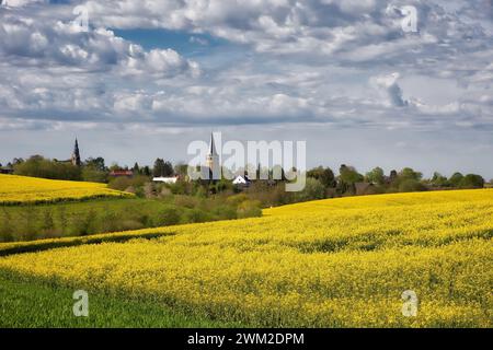 Blick auf ratingen homberg über Rapsfeld im Frühling und wolkenblauem Himmel Stockfoto