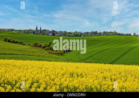 Blick auf ratingen homberg über Rapsfeld im Frühling und wolkenblauem Himmel Stockfoto