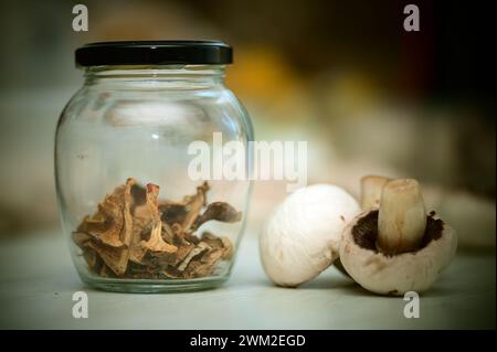 Getrocknete Wildpilze in einem Glas und frische, rohe Champignons auf dem Tisch. Küchen-Stillleben vor einer köstlichen Pilzsuppe kochen, Ungarn Stockfoto