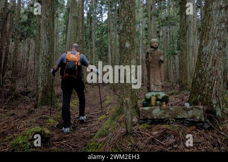 Trekking durch die tiefen Wälder der Kumano Kodo Pilgerroute, Mount Koya, Wakayama, Japan Stockfoto