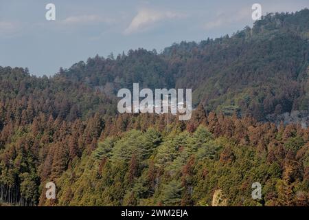 Blick auf Koyasan von der Kohechi Kumano Kodo Pilgerroute, Mount Koya, Wakayama, Japan Stockfoto