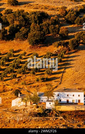 Traditionelles andalusisches Bauernhaus bei einem herrlichen Sonnenuntergang. Hoya del Salobral, Noalejo, Jaén, Andalucía, Spanien, Europa Stockfoto