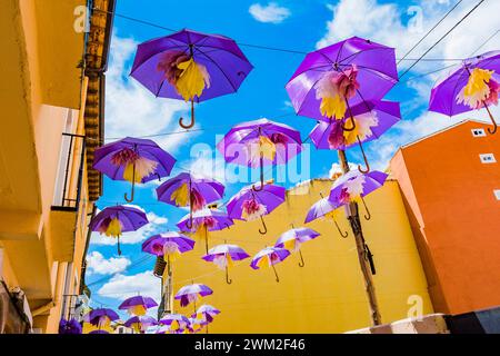 Violette Regenschirme sorgen während des Lavendelfestes für Schatten in einer engen Straße. Brihuega, La Alcarria, Guadalajara, Castilla La Mancha, Spanien, Europa Stockfoto