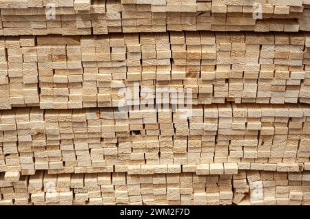 Stapel Holzblöcke, Ein Stapel Holzblöcke wird ordentlich übereinander gestapelt Stockfoto
