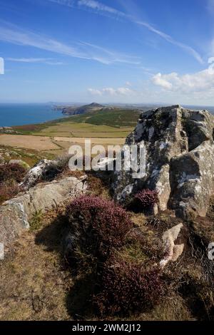 Der Blick vom Gipfel des Carn Llidi in der Nähe von St David's Head in Pembrokeshire, Wales Stockfoto