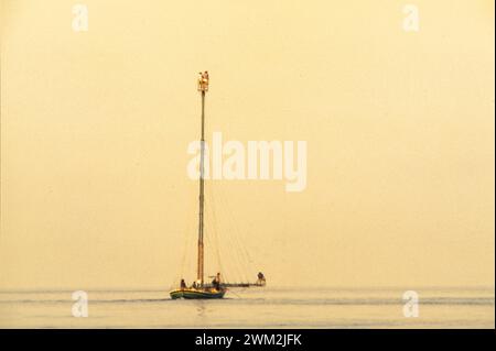 Schwertfisch-Fischerboot 1980er Stockfoto