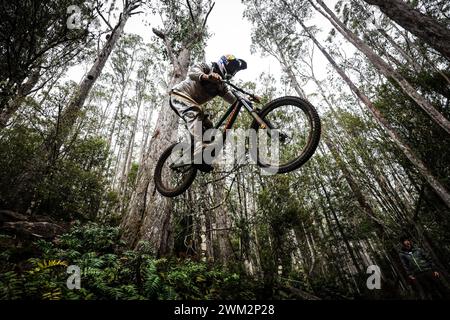 Maydena, Tasmanien, Australien. Februar 2024. Remy Morton aus Australien während der Aussaat in Red Bull Hardline Tasmania am 23. Februar 2024 in Maydena, Australien. (Kreditbild: © Chris Putnam/ZUMA Press Wire) NUR REDAKTIONELLE VERWENDUNG! Nicht für kommerzielle ZWECKE! Stockfoto