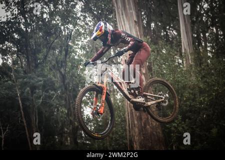 Maydena, Tasmanien, Australien. Februar 2024. Jackson Goldstone aus Kanada während des Aussaatens in Red Bull Hardline Tasmania am 23. Februar 2024 in Maydena, Australien. (Kreditbild: © Chris Putnam/ZUMA Press Wire) NUR REDAKTIONELLE VERWENDUNG! Nicht für kommerzielle ZWECKE! Stockfoto