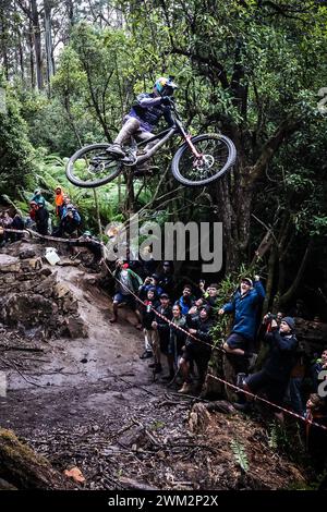 Maydena, Tasmanien, Australien. Februar 2024. Brook Macdonald aus Neuseeland während der Aussaat in Red Bull Hardline Tasmania am 23. Februar 2024 in Maydena, Australien. (Kreditbild: © Chris Putnam/ZUMA Press Wire) NUR REDAKTIONELLE VERWENDUNG! Nicht für kommerzielle ZWECKE! Stockfoto