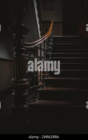 Treppe im Rathaus Treppe im Rathaus in Hamburg, Deutschland *** Treppe im Rathaus Treppe im Rathaus in Hamburg, Deutschland Copyright: XNikolaixKislichkox 6M6A1261 Stockfoto