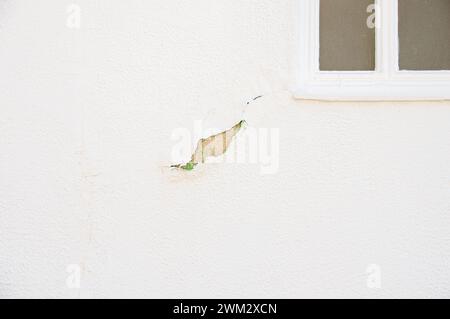 Grunge hat blauen Stuckwandhintergrund wegen Wassereintritt gerissen Stockfoto