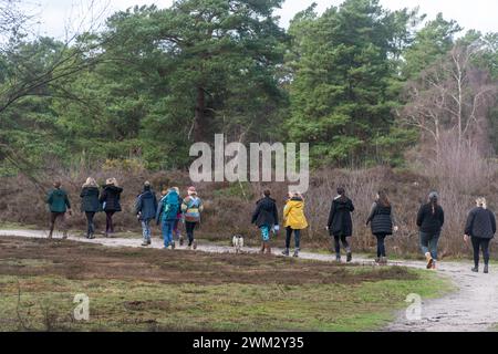 Junge Frauen, einschließlich Mütter, die ihre Babys bei sich tragen, gehen zu einem Gruppenspaziergang auf dem Land, Surrey, England, Großbritannien. Wellness-Konzept Stockfoto