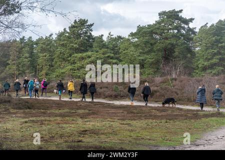 Junge Frauen, einschließlich Mütter, die ihre Babys bei sich tragen, gehen zu einem Gruppenspaziergang auf dem Land, Surrey, England, Großbritannien. Wellness-Konzept Stockfoto