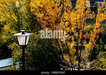 Riverside Forest am Rande des Dorfes Frailes im Herbst. Frailes, Jaén, Andalucía, Spanien, Europa Stockfoto