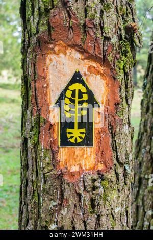 Wanderweg Schild für den „Caminho das Araucárias“-Weg am Parque Natural Municipal da Ronda in Sao Francisco de Paula, Süden Brasiliens Stockfoto