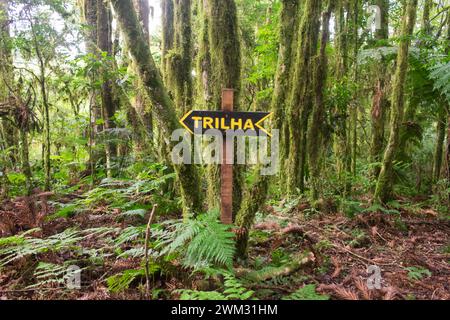 Wanderweg Schild für den „Caminho das Araucárias“-Weg am Parque Natural Municipal da Ronda in Sao Francisco de Paula, Süden Brasiliens Stockfoto