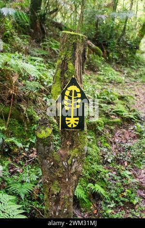 Wanderweg Schild für den „Caminho das Araucárias“-Weg am Parque Natural Municipal da Ronda in Sao Francisco de Paula, Süden Brasiliens Stockfoto