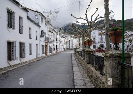 Typische enge und sehr hübsche Straßen eines andalusischen Dorfes mit weißen Häusern in Grazalema, Cadiz, Spanien. Stockfoto
